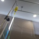 에코르파밀리에의원 이미지