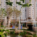 생태연못 이미지