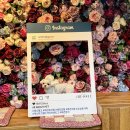 삼성애견 이미지