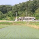 이백면 외동마을 이미지