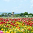 (주)동양교통관광여행사 투어코리아