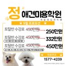 꿈의 애견미용 이미지