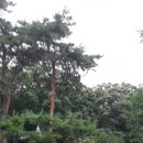 문희공유창묘역 이미지