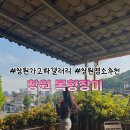 목향갤러리 | 창원 목향장미 명소 가고파갤러리 4월25일 실시간 개화현황(사진,방문꿀팁⭕️)