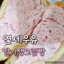 영양빵 | CU편의점 연세우유 딸기생크림빵 솔직 후기 및 영양정보