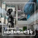 서대문자연사박물관 | [서울/서대문] 종로 아이랑 가볼만한곳 서대문자연사박물관 방문후기 티켓할인, 주차정보