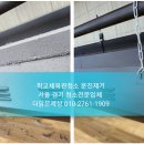 더맑은세상