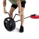 루트휘트니스 이미지