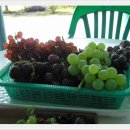 오하농장 이미지