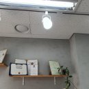 미를품은달