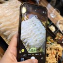 워너비 동물병원 | 제목없음요