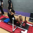 체대입시 FA 이미지