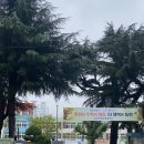 코아상가(1368) | 대구광역시 중구 분위기임장보고서① (더샵리비테르2차, 남산자이하늘채, 동인3가 삼익맨션, 동인4가7통...