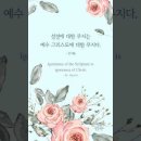 오늘의 '신앙 명언'(243강) 성 제롬(Saint Jerome) 이미지