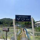 꽃뫼카페휴게소 | 안성 애견동반 맛집 겸 카페 꽃뫼카페휴게소 방문 솔직후기 / 내돈내산