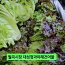 싱싱한 야채 청과 이미지