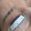 얼핏 | [내포/속눈썹연장] LC컬 대만족 후기 ‘얼핏살롱’ 👀