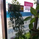 파평면사무소 앞 이미지