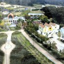 자작나무길펜션 이미지