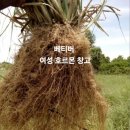마나스힐링센터 이미지