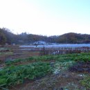 지양산 생태순환길 이미지