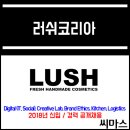 ﻿﻿﻿2018년 러쉬(LUSH)코리아 신입 경력 공개채용 / 화상면접 실시 이미지