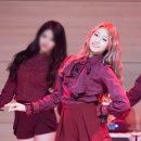 루터대학교 이미지