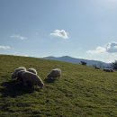 백촌목장 이미지