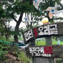 연신오리 이미지