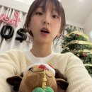 솔비네 집 이미지