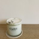 CIELTRI(씨엘트리)