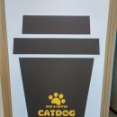 캣독카페 이미지