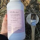 청송바른사과 | 사과나무 가지발생제 이드로 사용시기와 방법