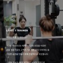 파프짐(365) 이미지