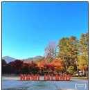 호텔정관루별관(게스트하우스) 이미지