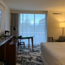 해밀톤수영장(실외) | 쉐라톤 밴쿠버 에어포트, 공항 근처 호텔 1박 후기 | 공항셔틀 조식 Sheraton Vancouver Airport Hotel