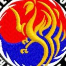 영웅K TIGERS 태권도장 이미지