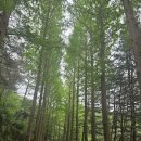 나는 희망한다 이미지