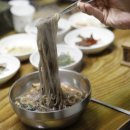 콧등치기 헤럴드경제