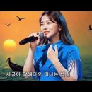 황포돛대 이미지