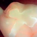 사람인치과의원 이미지