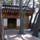 성하신당 Daum카페