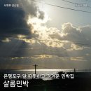 샬롬 민박 이미지