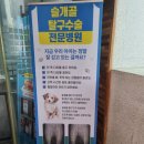 카이저 동물병원 이미지