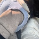 영종독 반려견 호텔, 유치원 이미지