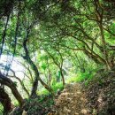 더좋은날 이미지