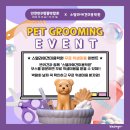 스텔라애견미용학원