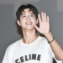 바닐리 이미지