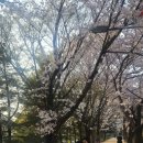 (주)제스티