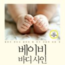 사인플래시